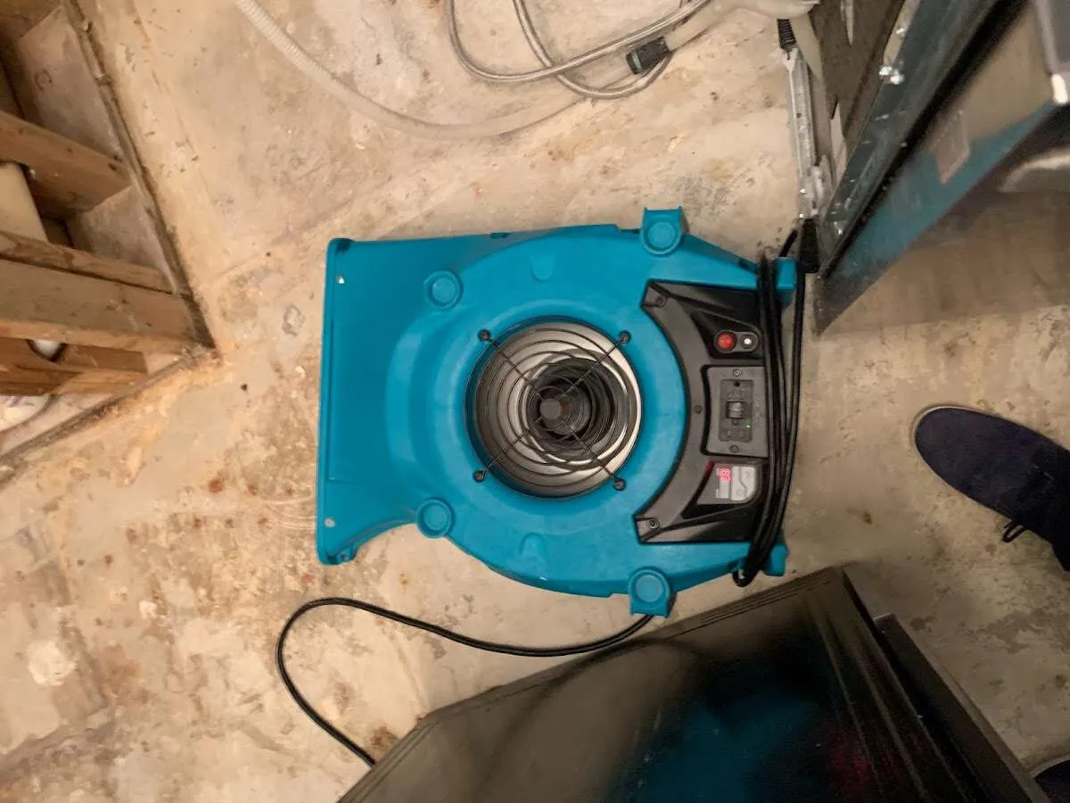 Air mover drying equipment for Mold Remediation & Removal in Closter